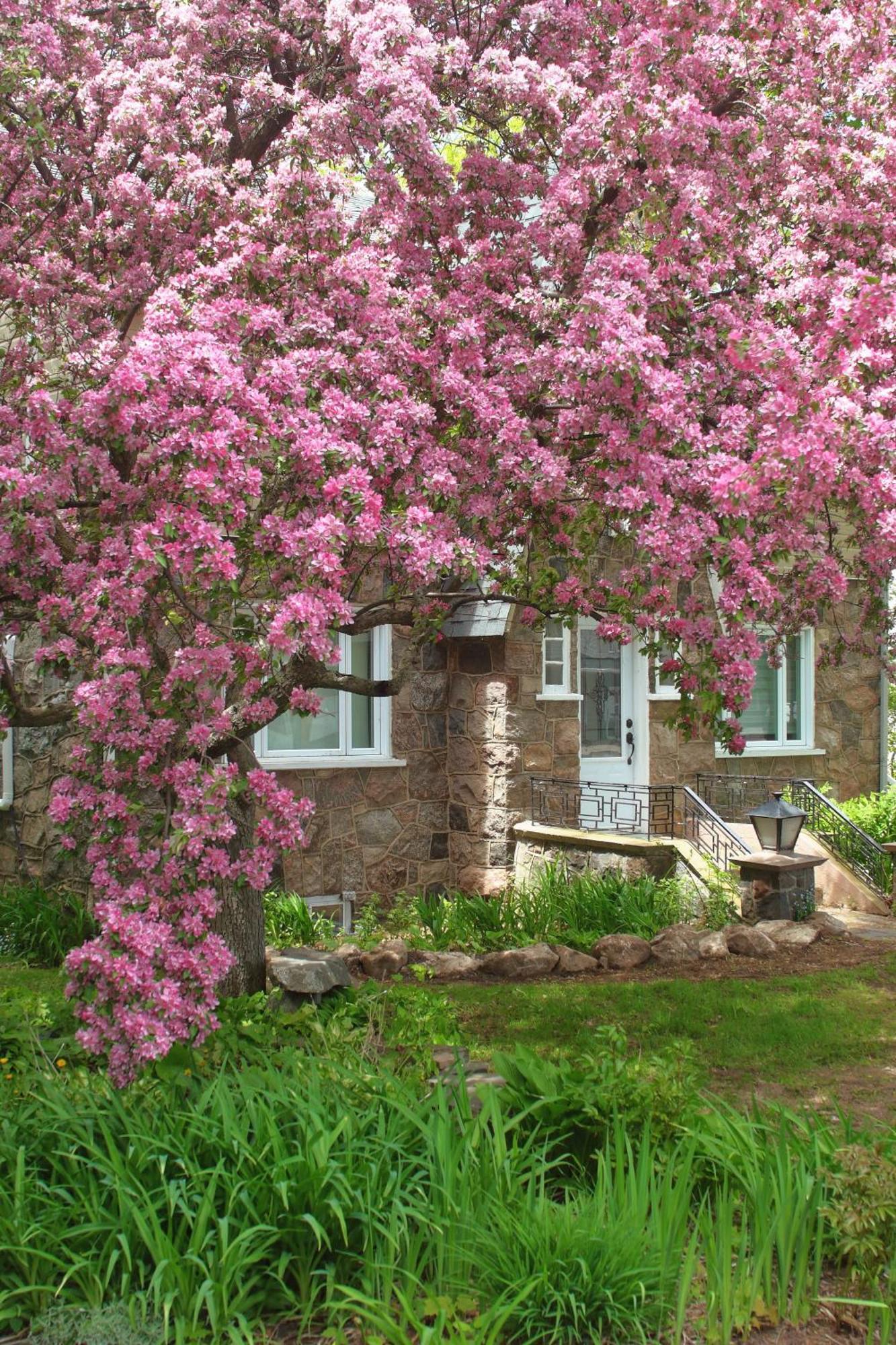 Rester Vivant Chambres D'Hotes Saint-Jean-Port-Joli Exteriör bild